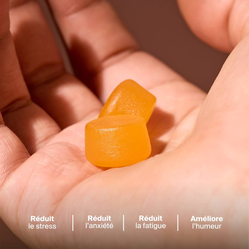 Gummies Anti-Stress Safran