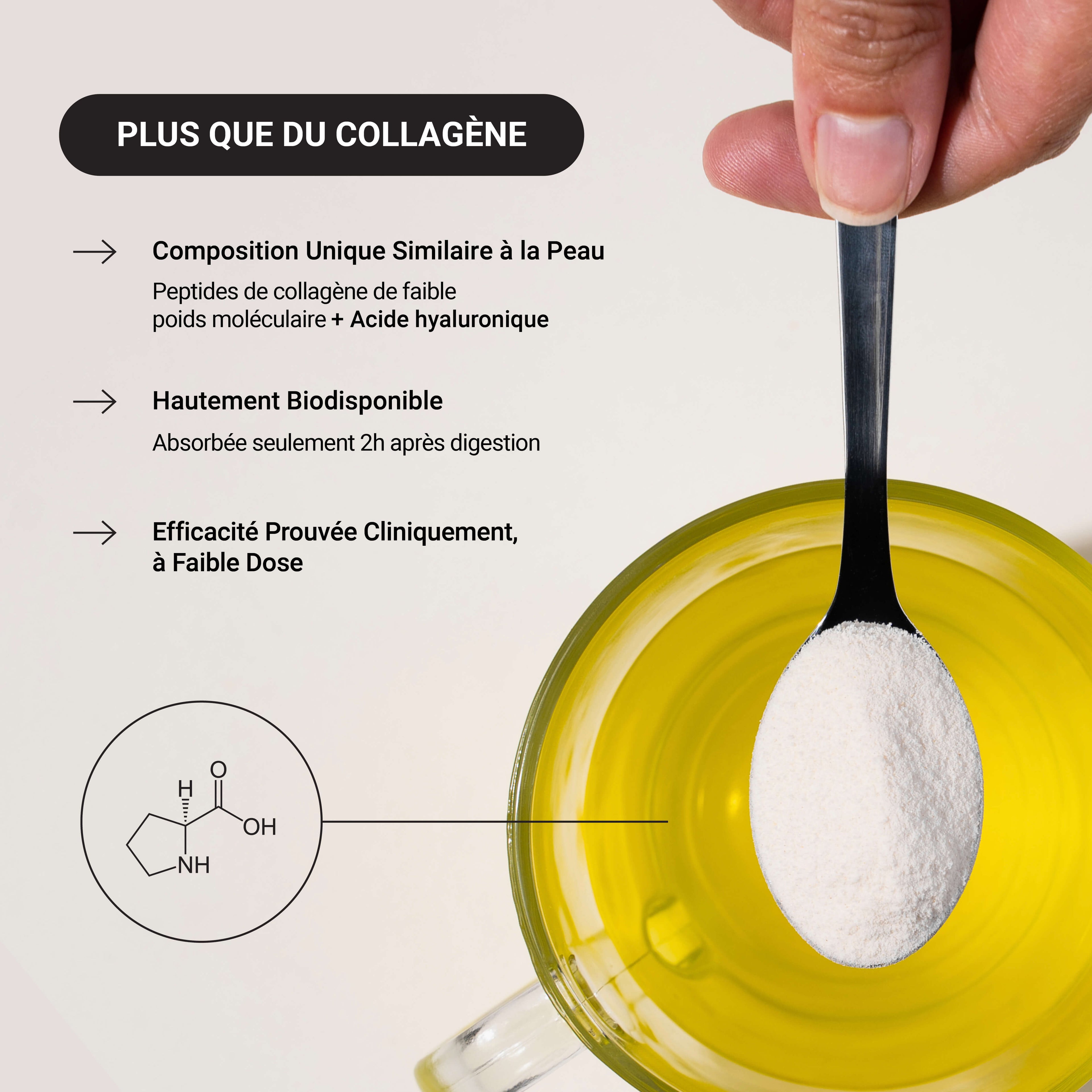Collagène Marin Type I et II au Safran